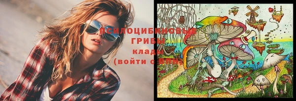 прущая мука Нея