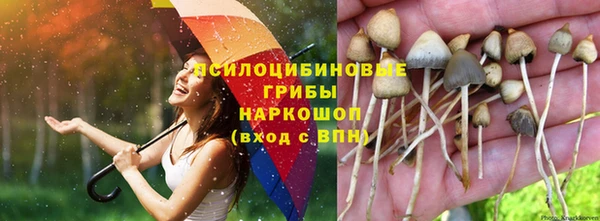 мдма Нефтекумск