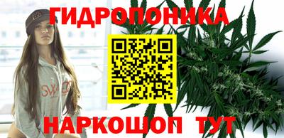 Альфа ПВП Берёзовский