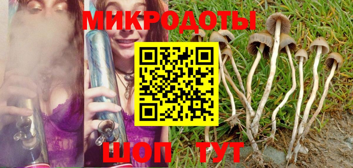Псилоцибиновые грибы Cubensis Владикавказ