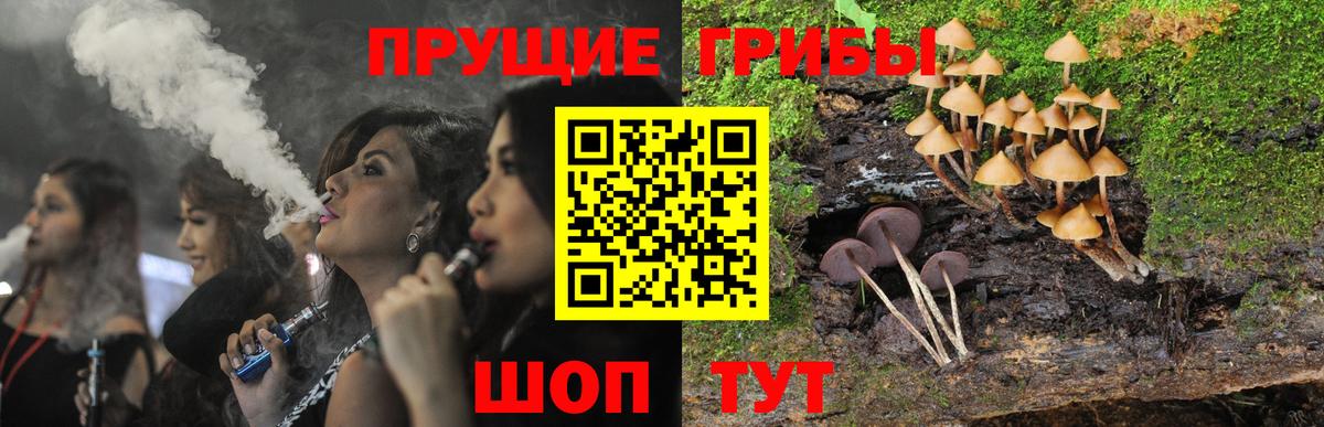 Галлюциногенные грибы мухоморы  Вход с VPN  Псилоцибиновые грибы мицелий  Владикавказ 