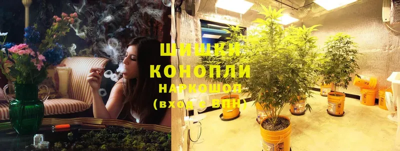 Конопля SATIVA & INDICA  Владикавказ 